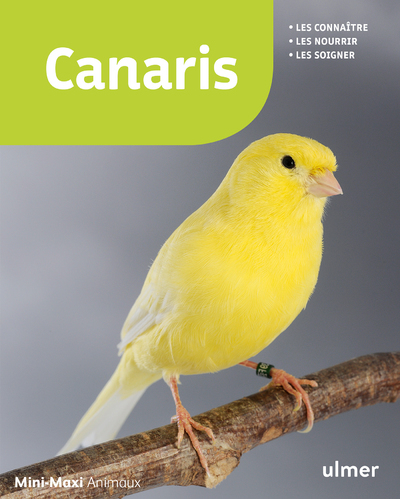 CANARIS (NE)