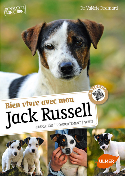 BIEN VIVRE AVEC MON JACK RUSSEL + VIDEOS