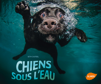 CHIENS SOUS L´EAU