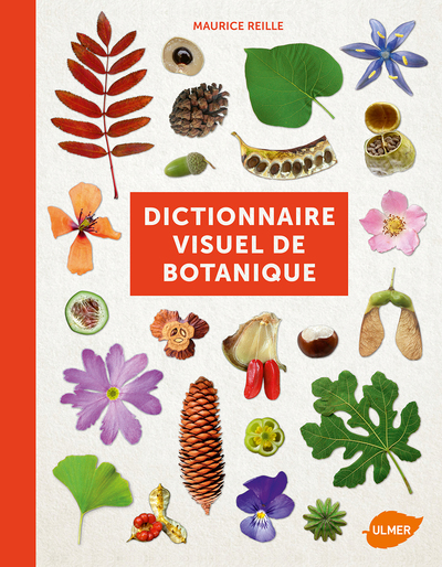 DICTIONNAIRE VISUEL DE BOTANIQUE