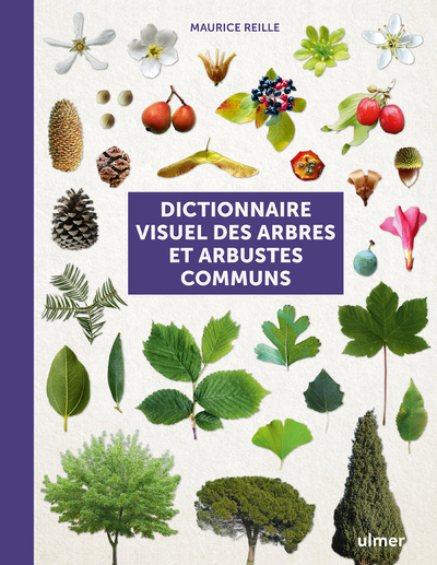 DICTIONNAIRE VISUEL DES ARBRES ET ARBUSTES COMMUNS