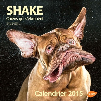 SHAKE CHIENS QUI S´ EBROUENT - CALENDRIER 2015