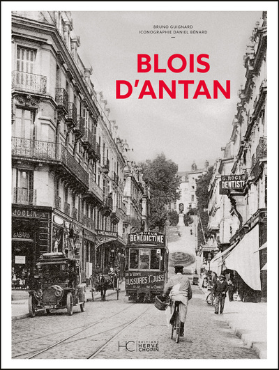 BLOIS D´ANTAN