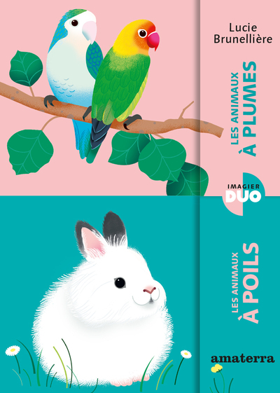 LES ANIMAUX A PLUMES/LES ANIMAUX A POILS