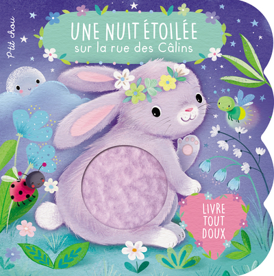 UNE NUIT ETOILEE SUR LA RUE DES CALINS