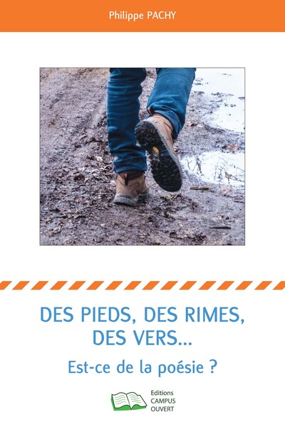 DES PIEDS, DES RIMES, DES VERS... - EST-CE DE LA POESIE ?