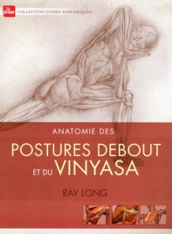 ANATOMIE DES POSTURES DEBOUT ET DU VINYASA