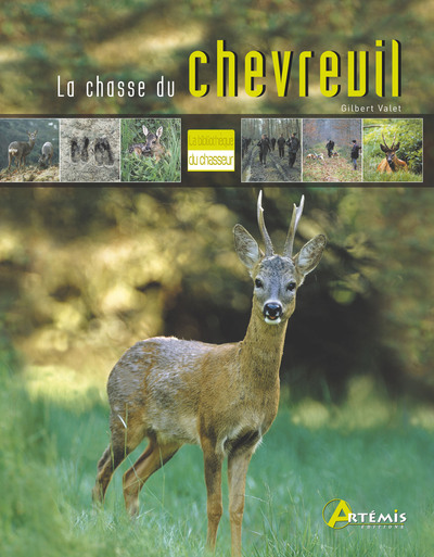 CHASSE DU CHEVREUIL