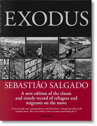 FO-SALGADO, EXODES - ANGLAIS -