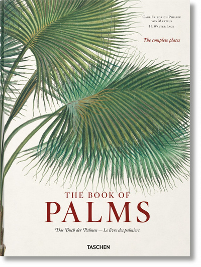 FP-MARTIUS. THE BOOK OF PALMS