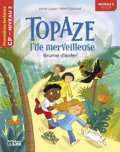 TOPAZE-BRUME D ENFER NIV3