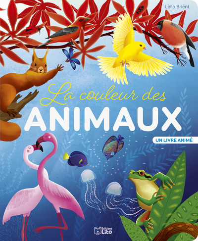 COULEUR DES ANIMAUX BEAU LIVRE