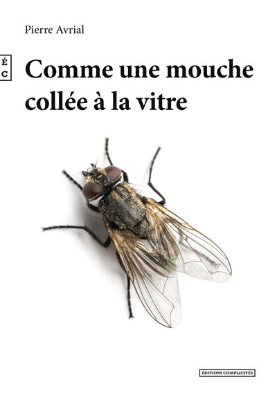 COMME UNE MOUCHE COLLEE A LA VITRE