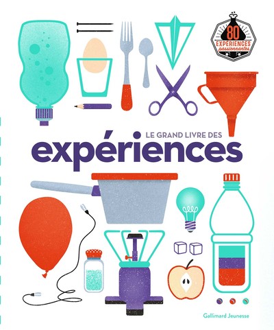 GRAND LIVRE DES EXPERIENCES