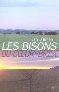 BISONS DU COEUR BRISE