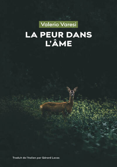 PEUR DANS L´AME