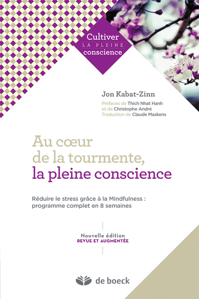 AU COEUR DE LA TOURMENTE, LA PLEINE CONSICENCE MBSR,CELEBRE PROGRAMME REDUCTION DU STRESS BASE SUR L