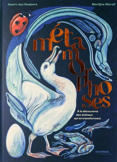 METAMORPHOSES : A LA DECOUVERTE DES ANIMAUX QUI SE TRANSFORMENT
