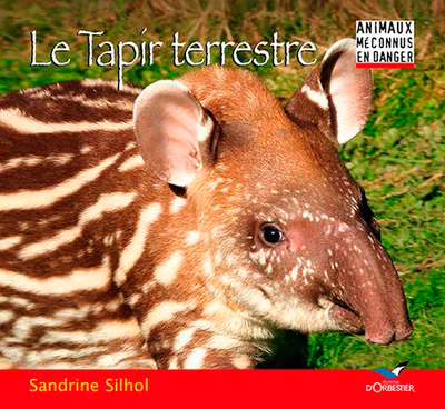 TAPIR TERRESTRE