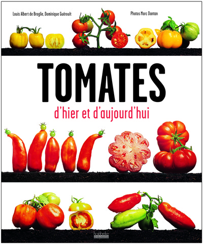 TOMATES D´HIER ET D´AUJOURD´HUI