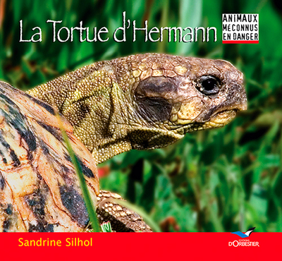 TORTUE D HERMANN (LA)