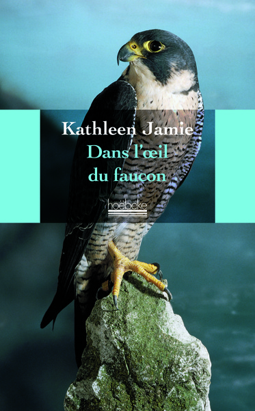DANS L´OEIL DU FAUCON