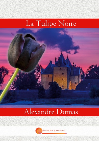 TULIPE NOIRE