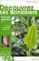 DECOUVREZ LES BANANIERS CANNAS ALPINIAS PAS A PAS