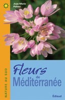 FLEURS DE MEDITERRANEE