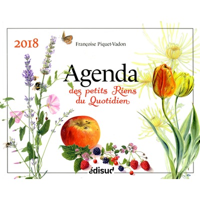 AGENDA DES PETITS RIENS DU QUOTIDIEN 2018