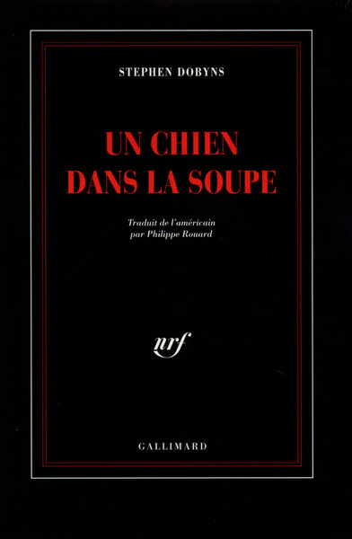 CHIEN DANS LA SOUPE