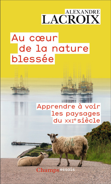 AU COEUR DE LA NATURE BLESSEE - APPRENDRE A VOIR LES PAYSAGES DU XXI  SIECLE