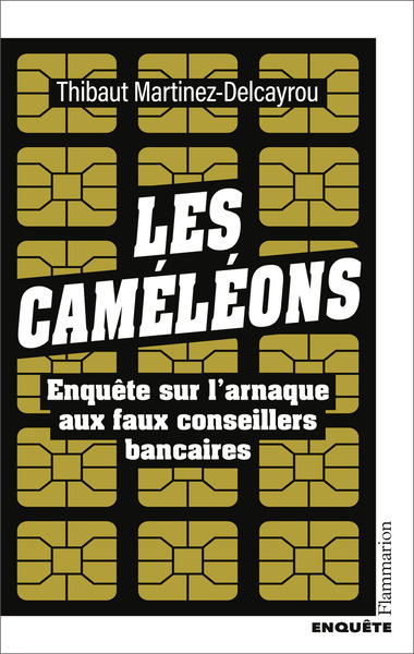 CAMELEONS - ENQUETE SUR L´ARNAQUE AUX FAUX CONSEILLERS BANCAIRES