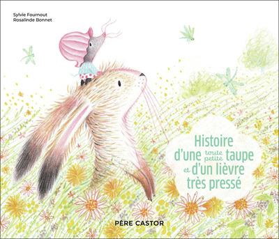 HISTOIRE D´UNE TOUTE PETITE TAUPE ET D´UN LIEVRE TRES PRESSE