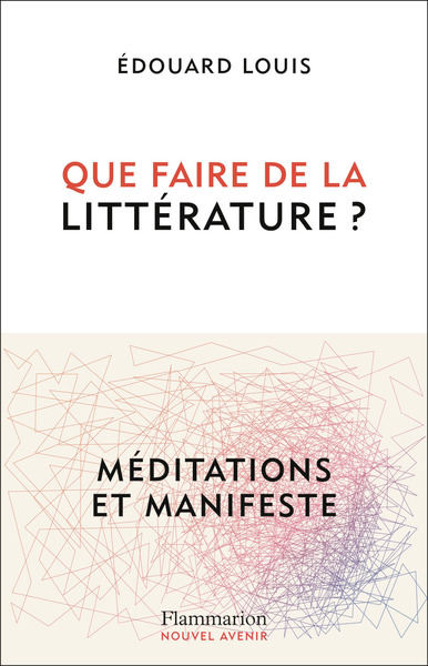 QUE FAIRE DE LA LITTERATURE ?
