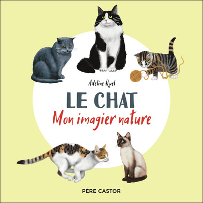 CHAT