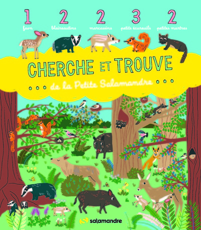 CHERCHE ET TROUVE DE LA PETITE SALAMANDRE