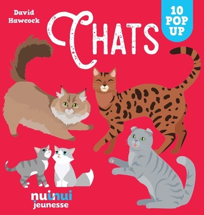 SAISISSANTS POP - UP : CHATS