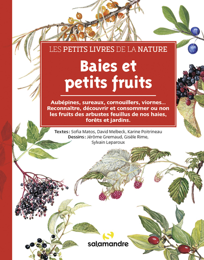 PETITS LIVRES DE LA NATURE - BAIES ET PETITS FRUITS