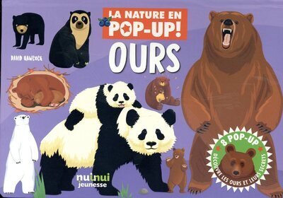 NATURE POP-UP  - OURS