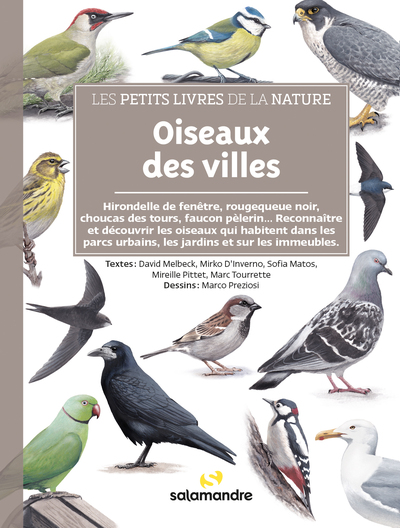 PETITS LIVRES DE LA NATURE - OISEAUX DES VILLES