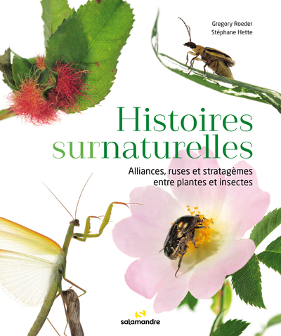 Couverture de Histoires surnaturelles : alliances, ruses et stratagèmes entre plantes et insectes