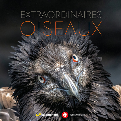 EXTRAORDINAIRES OISEAUX