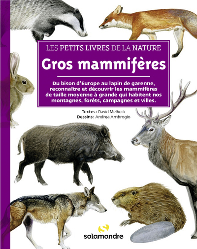 PETITS LIVRES DE LA NATURE - GROS MAMMIFERES
