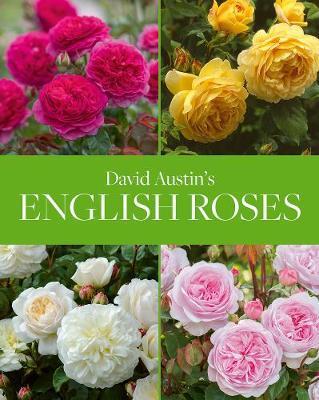 DAVID AUSTIN´S ENGLISH ROSES /ANGLAIS