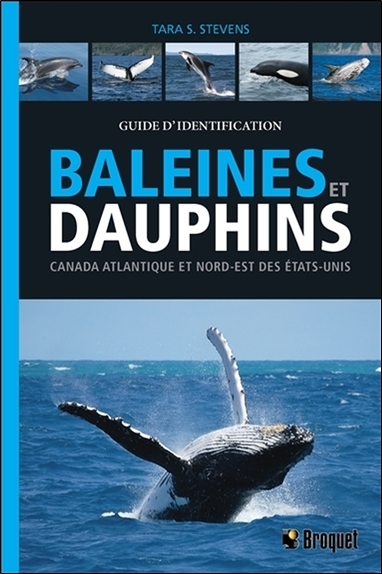 BALEINES ET DAUPHINS - CANADA ATLANTIQUE ET NORD-EST DES ETATS-UNIS