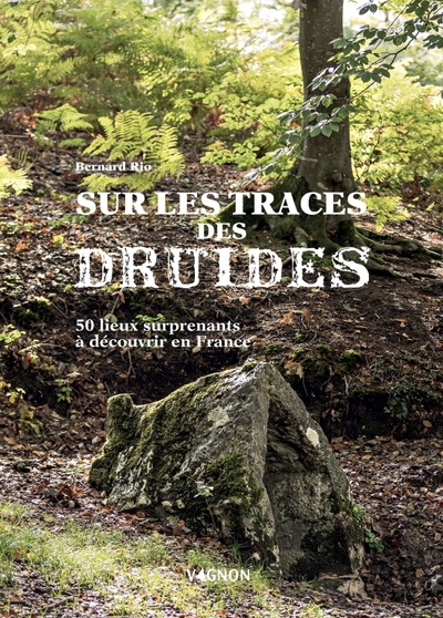 SUR LA TRACE DES DRUIDES - 50 LIEUX SURPRENANTS A DECOUVRIR EN FRANCE