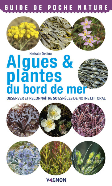 ALGUES & PLANTES DU BORD DE MER. OBSERVER ET RECONNAITRE 50 ESPECES DE NOTRE LITTORAL