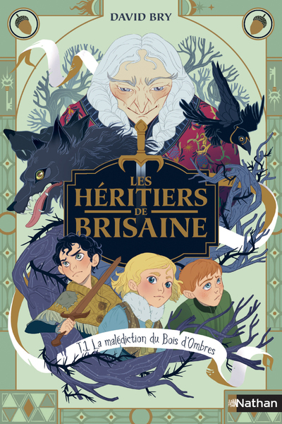 HERITIERS DE BRISAINE - TOME 1 LA MALEDICTION DU BOIS D´OMBRES - VOL01