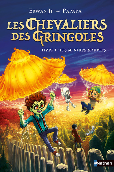 CHEVALIERS DES GRINGOLES - LIVRE 1 : LES MENHIRS MAUDITS